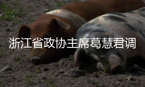 调研浙江省政平湖慧君环境协主席葛项目联运